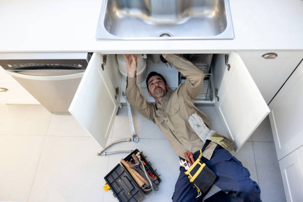 Best Sprinkler Systems  in Holly, MI