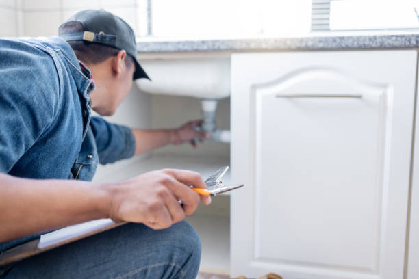 Best Shower Repair Services  in Holly, MI