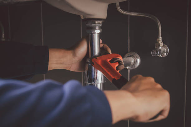 Best Plumbing Inspection Services  in Holly, MI